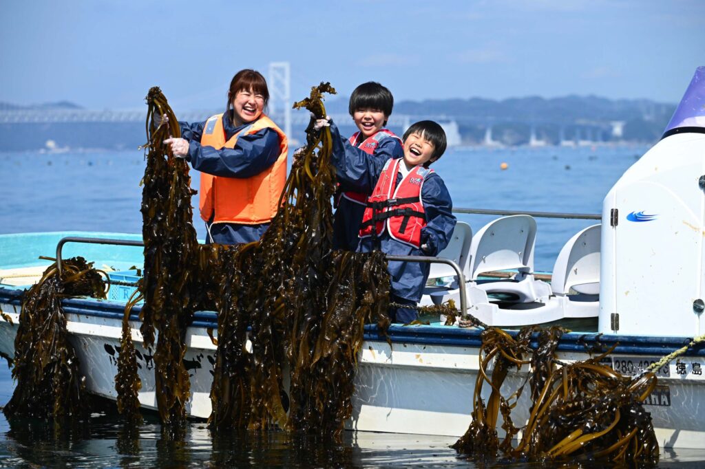 鳴門わかめ漁イメージ