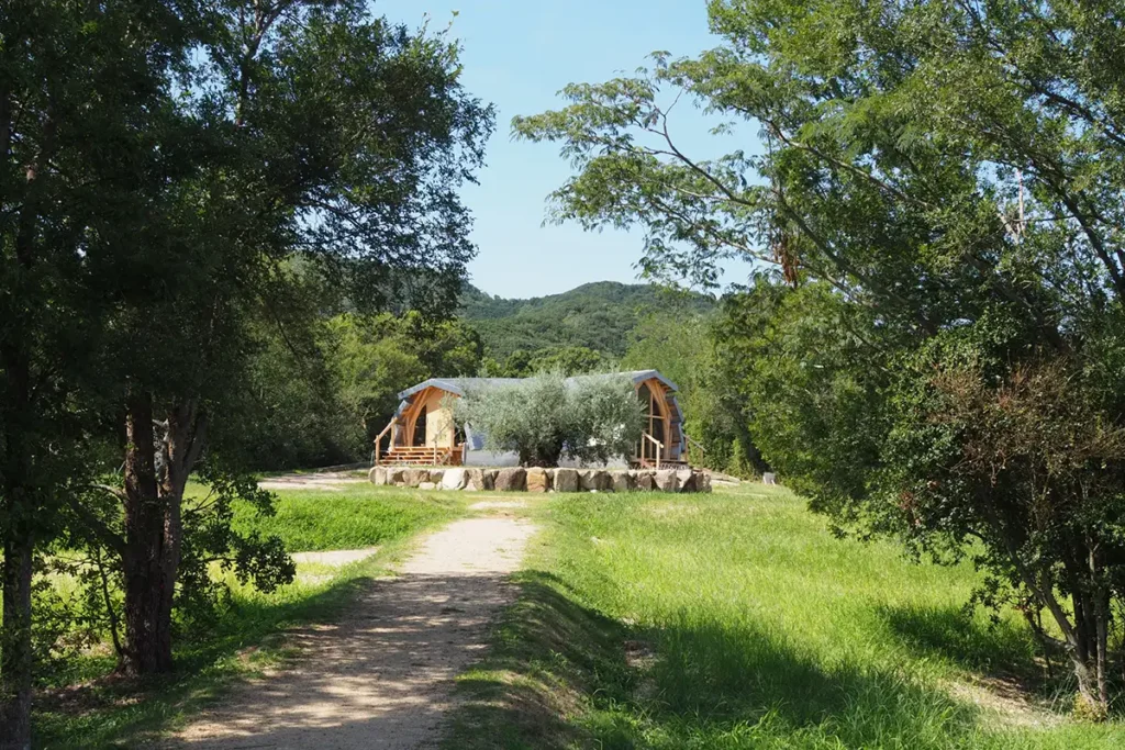 樹齢千年のオリーヴ大樹のある森を散策