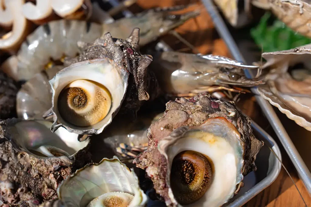 山陰地域で水揚げされた海鮮