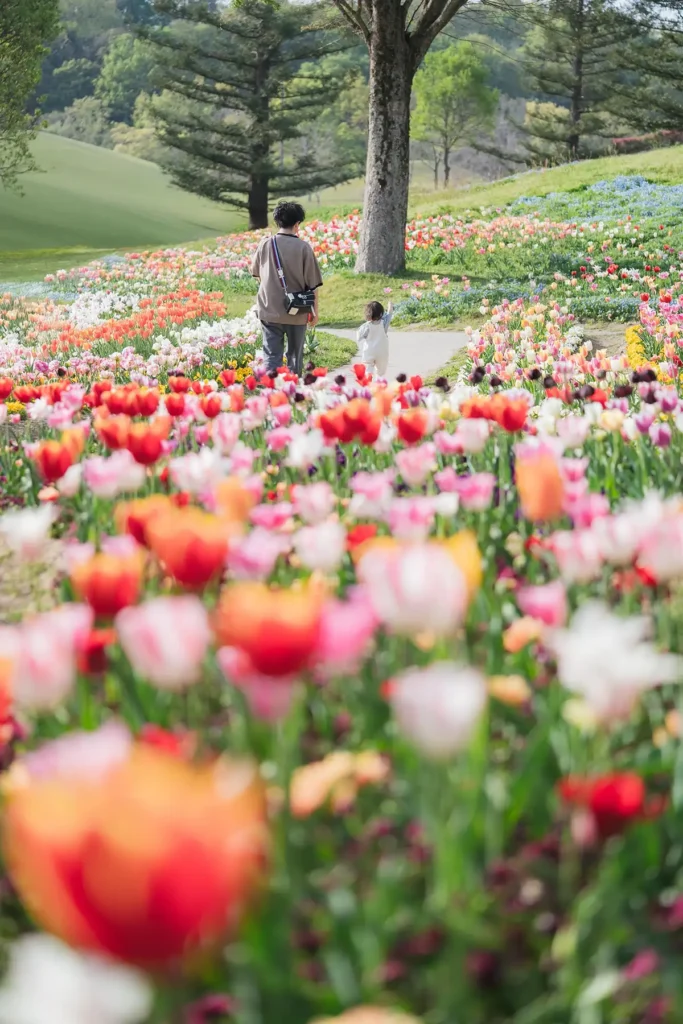 花笑フォトコンテスト #2025春　入賞作品