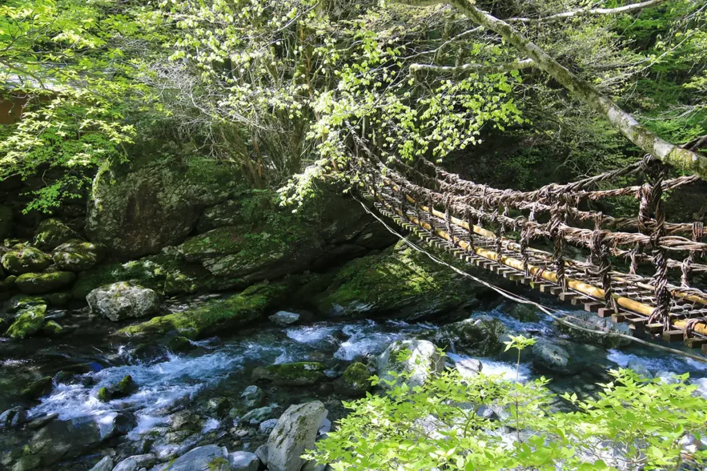 徳島県 祖谷 かずら橋