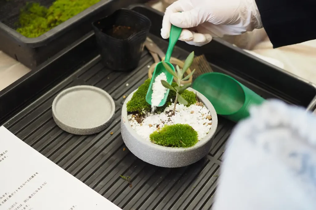 小さな庭園をイメージしたデザインに