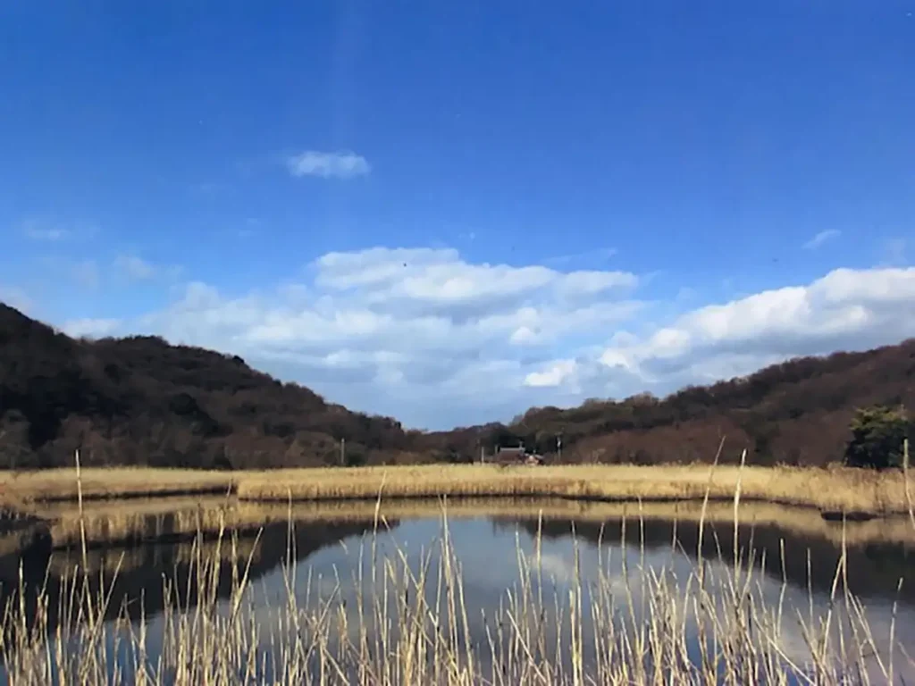 牛島小浦の湿原（イメージ）