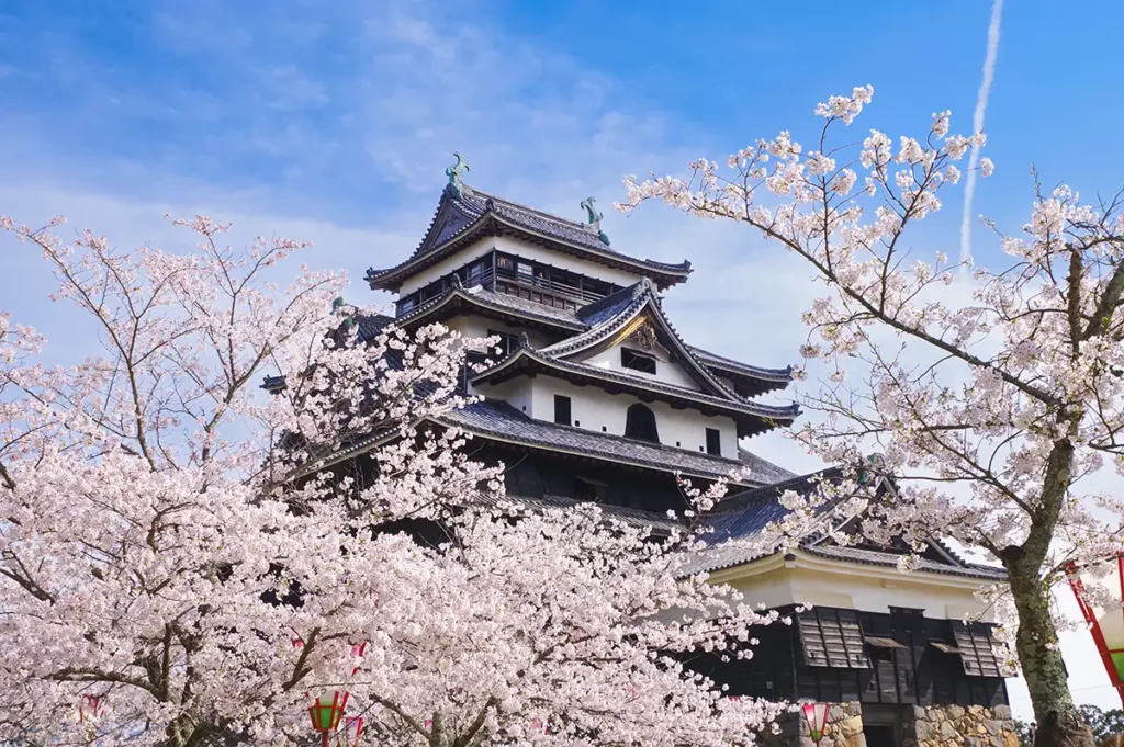 国宝松江城 お城まつり