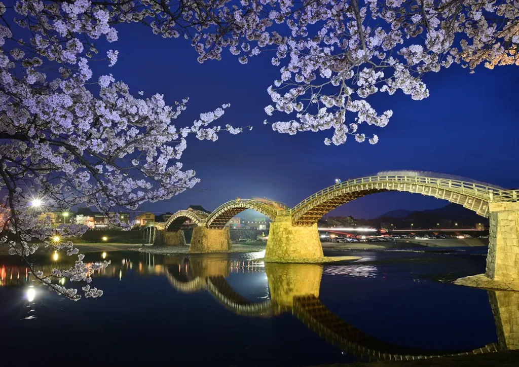 錦帯橋の夜桜ライトアップ