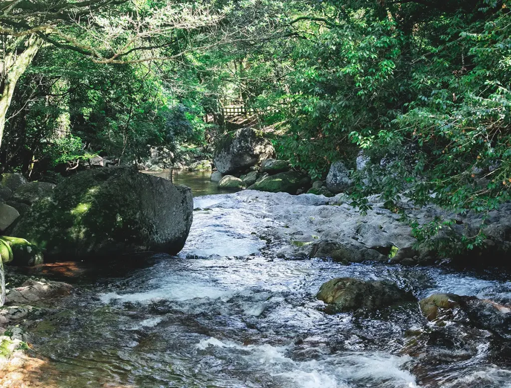 森・川・海を取り巻く風景