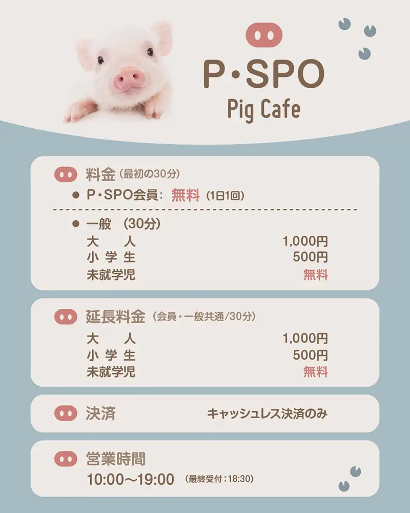 料金表