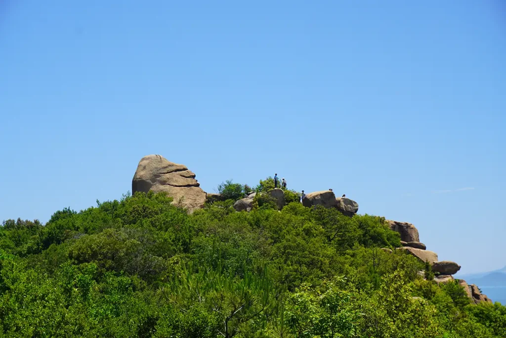 ニコニコ庭(遠景)