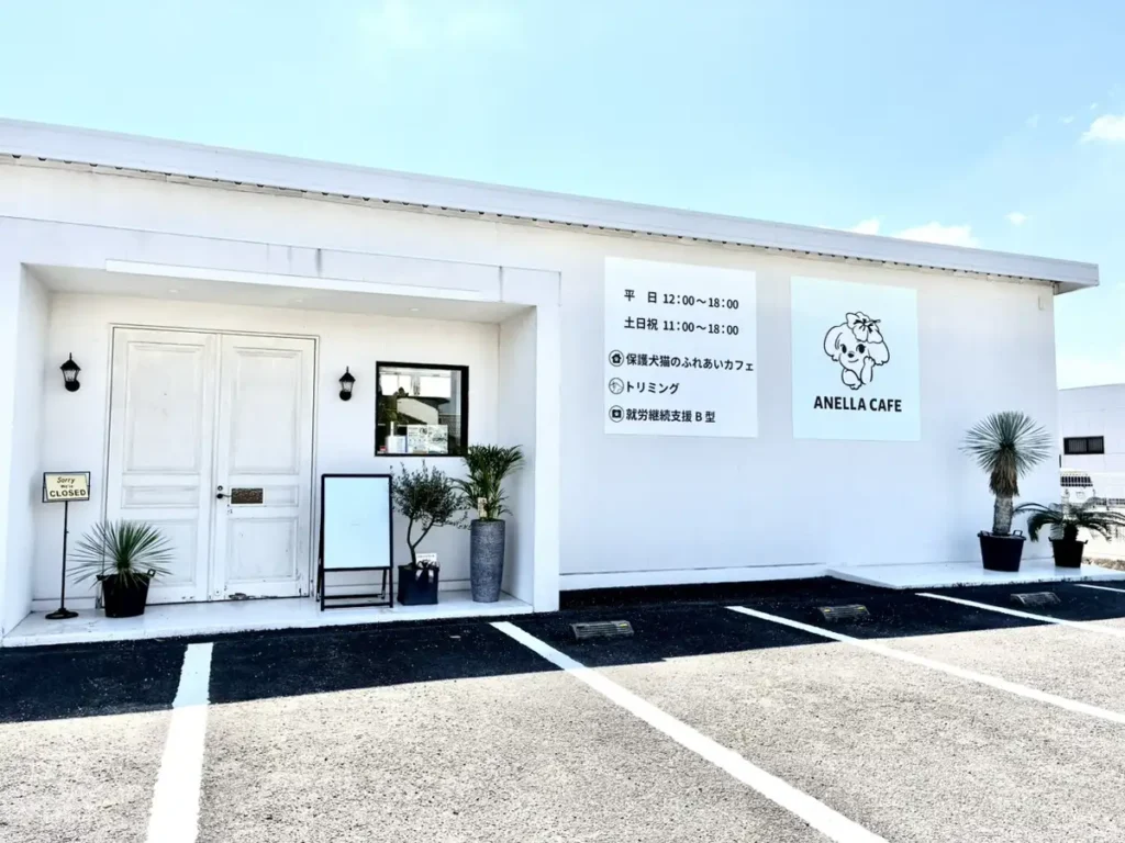 真っ白な壁が印象的な外観です