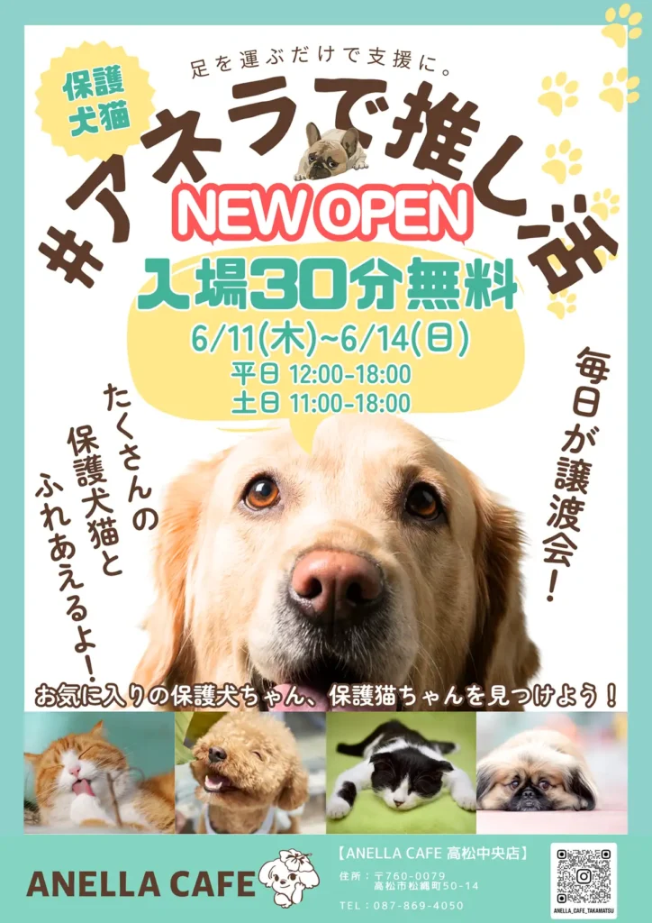 オープンチラシ
