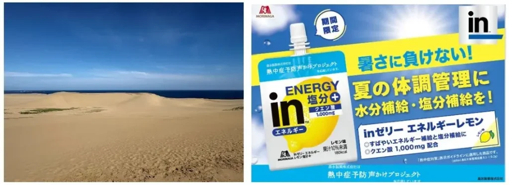 砂丘 de inチャージ