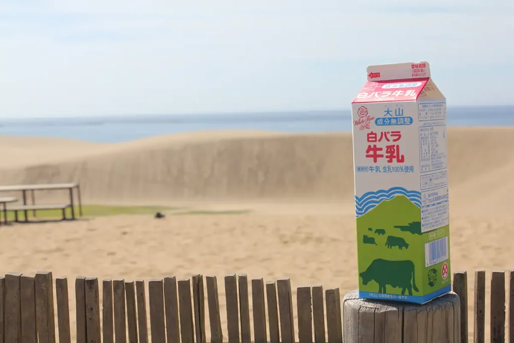 鳥取砂丘と白バラ牛乳