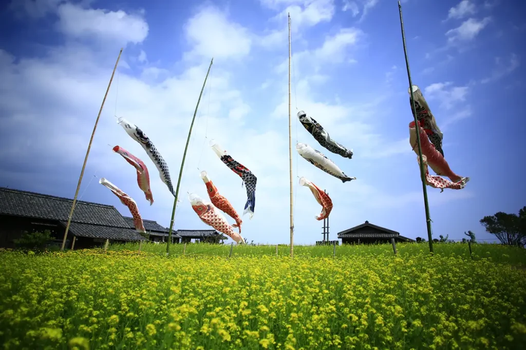 長閑な村に菜の花畑と気持ちよく泳ぐ12匹の鯉のぼり(鯉のぼりの掲揚は4月11日～5月6日予定)