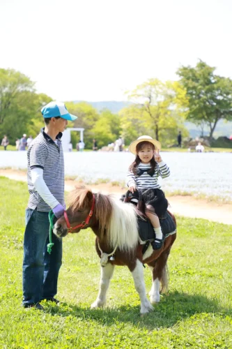 花畑ポニーこども乗馬体験