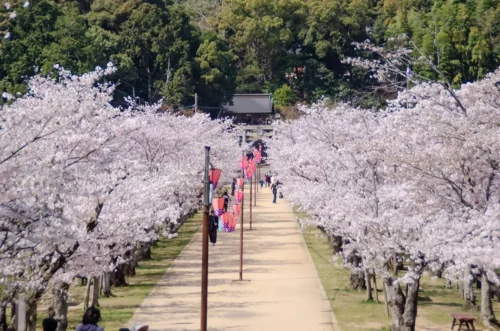亀鶴公園(きかくこうえん)