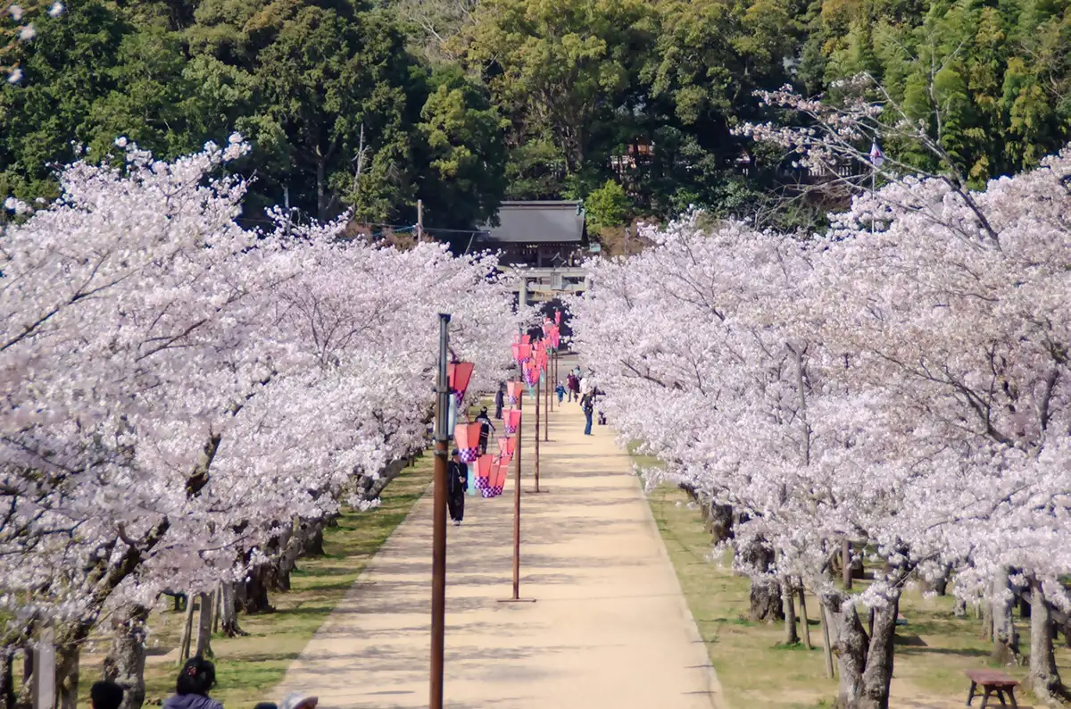亀鶴公園（きかくこうえん）