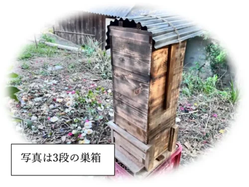 養蜂箱