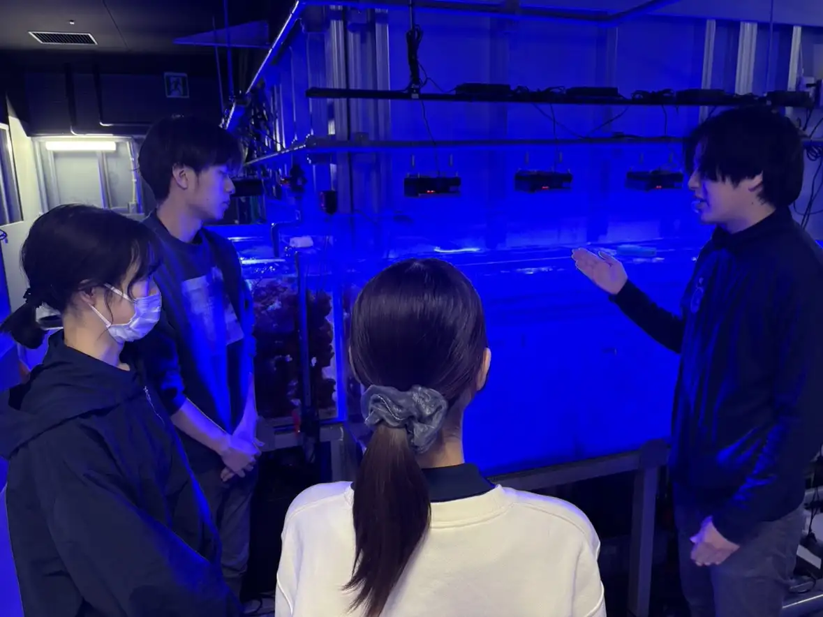 水族館バックヤードツアー