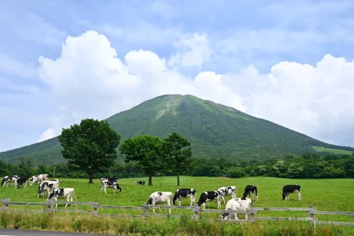 まきばのみるくの里