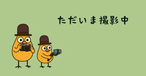 代替画像