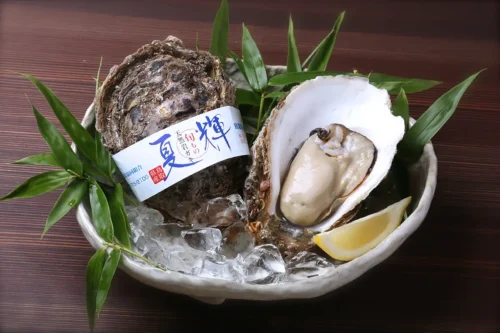 鳥取県産の天然イワガキ「夏輝(なつき)」