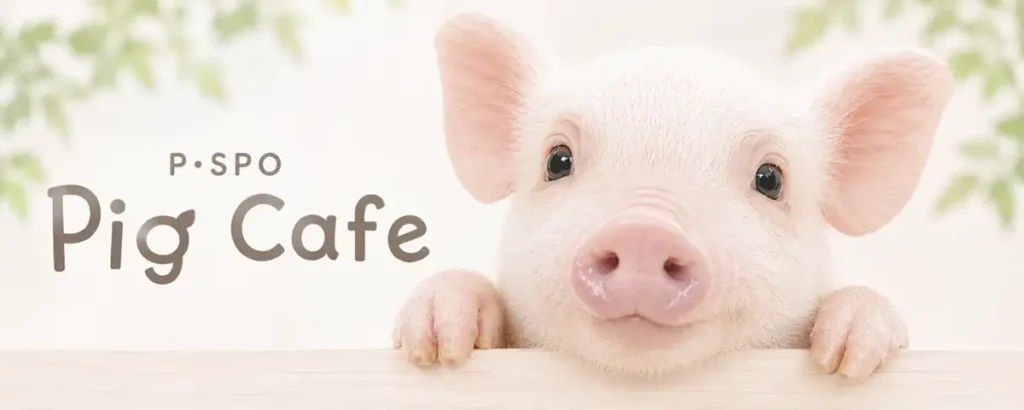 P・SPO Pig Cafe