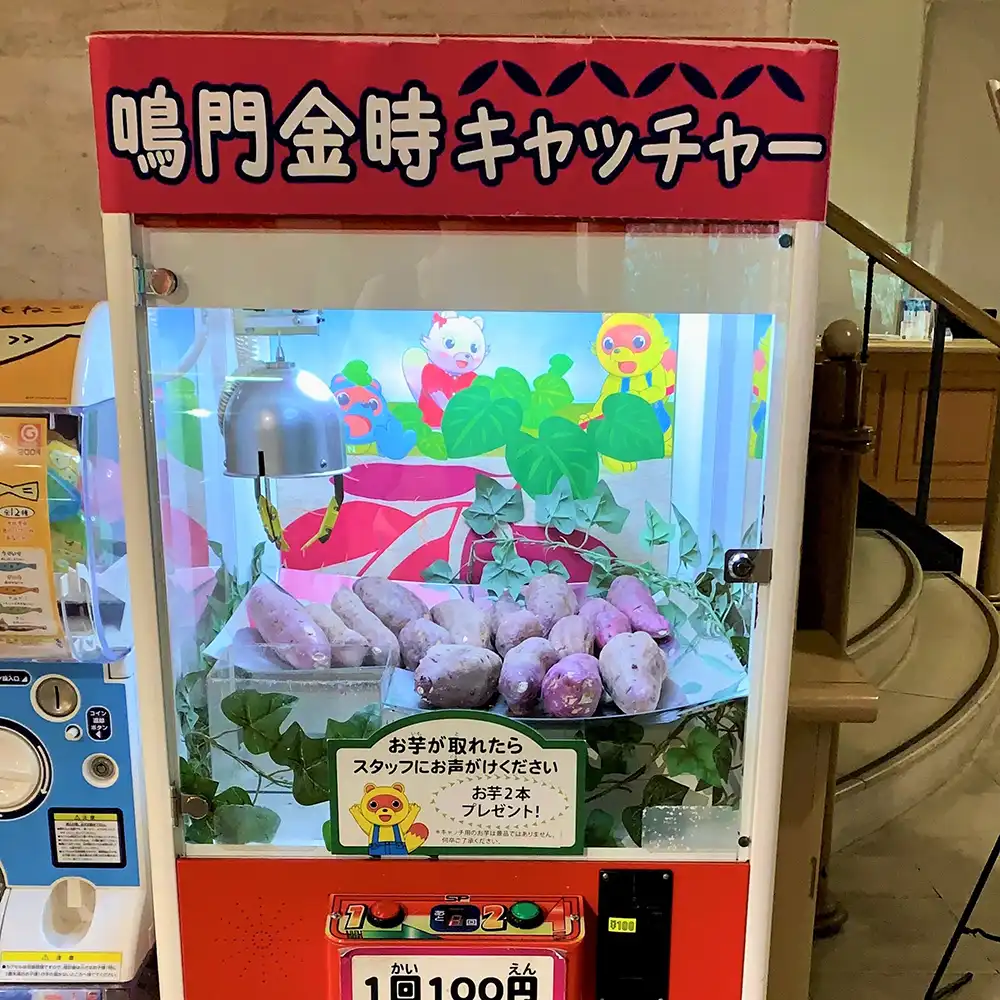 幅広い世代に人気!「なると金時キャッチャー」